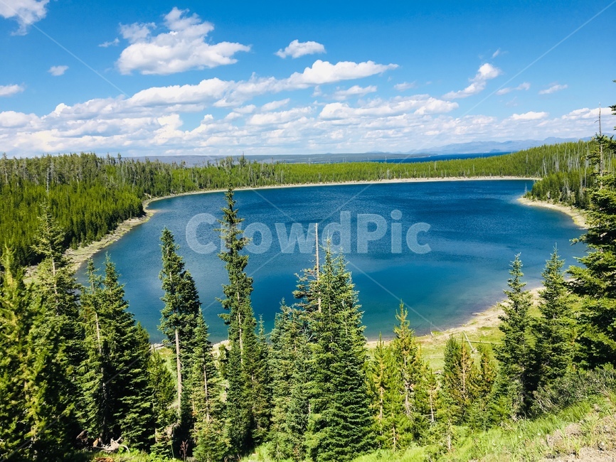 옐로스톤호수,호수,큰호수,yellowstone,자연