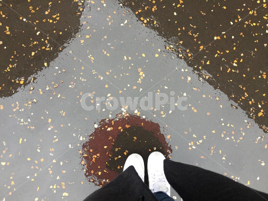 영국,런던,london,unitedkingdom,uk,풍경,우산,그림자,비,반짝,바닥