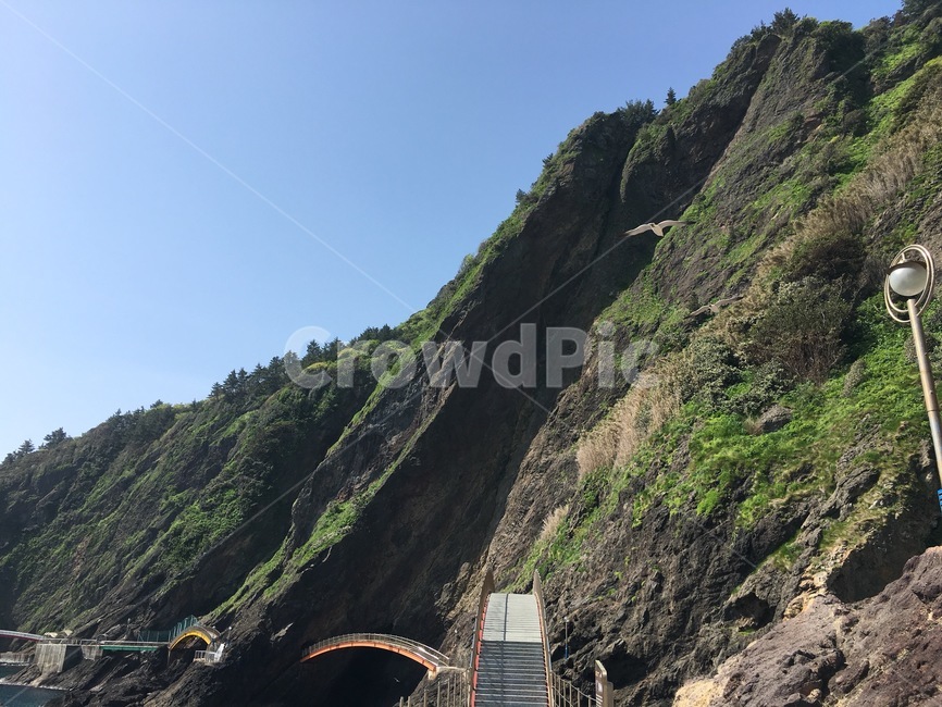 산,바다,울릉도,배경,아름다운,자연,풍경,nature,landscape,promontory,곶,outdoors,옥외,road,도로