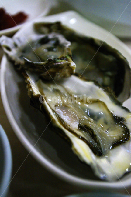 석화,굴,생굴,어패류,oyster,음식,식재료,요리,food,cook,meal,dishes,food reserves,수산물,해산물,fishery products,seafood