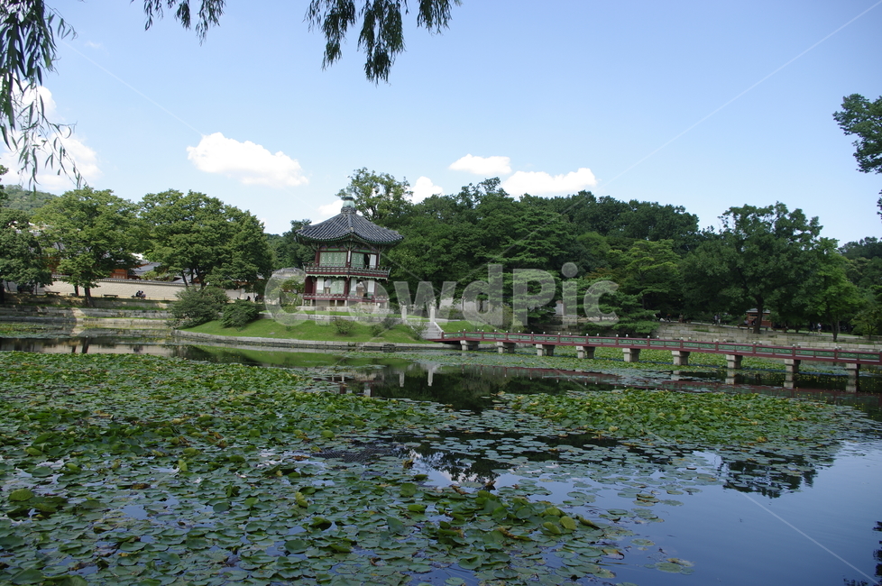 향원정,연못,풍경,경복궁,고궁,건축,전통건축,traditional,전통,기와지붕,한국전통,한국문화,korean traditional,korean culture