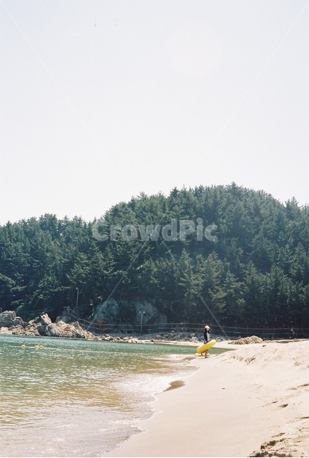 바다,나무,모래,물,해변,하늘,필름사진,필름,자연,풍경,nature,landscape,해변,바다,beach,sea
