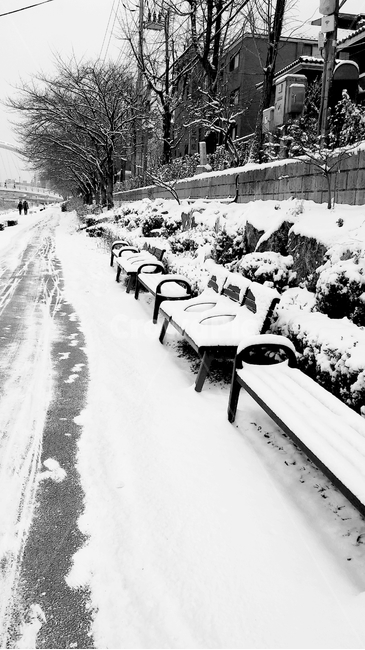 눈쌓인벤치,흑백겨울풍경,눈덮인자전거도로,snow,겨울
