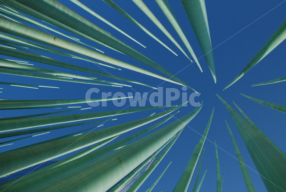 대나무,하늘,대나무숲,기둥,숲,blue,green