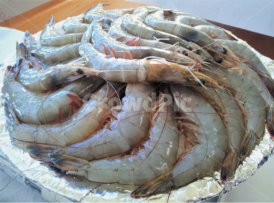 새우,대하,소금구이,해산물,구이,음식,식재료,요리,food,cook,meal,dishes,food reserves,수산물,해산물,fishery products,seafood