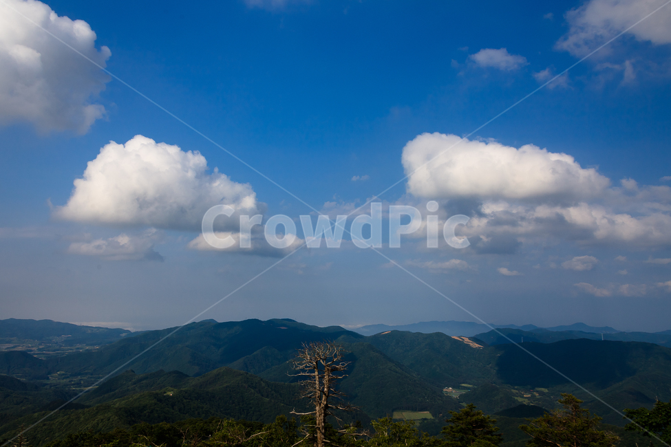 알펜시아,강원도,환경,농촌,구름,숲,공원,맑은,풍경,여름,자연,풍경,nature,landscape,weather,날씨,cumulus,적운,outdoors,옥외,sky,하늘,cloud,mountain,산,mountain range,산맥
