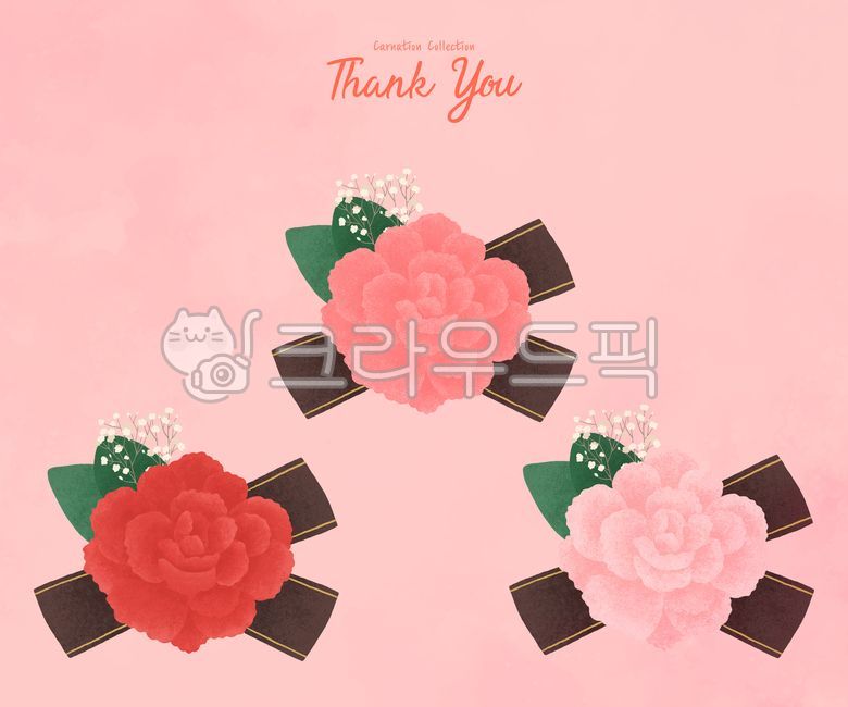 love,Carnation Badge,pink,In May,carnation,parentsday,thanks,petal,carnations,Emotion,event,Thank you,Teachers day,family month,thankyou,Anniversary,appreciation,flower arrangement,message,Mothers Day,respect,flower,Red,badge,gratitude,illustration