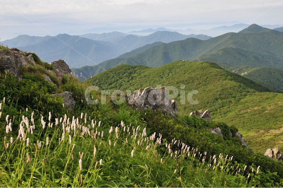 덕유산,능선,연봉,범꼬리,운무,자연,풍경,nature,landscape,한국자연풍경,한국자연경관,korea nature landscape,outdoors,옥외