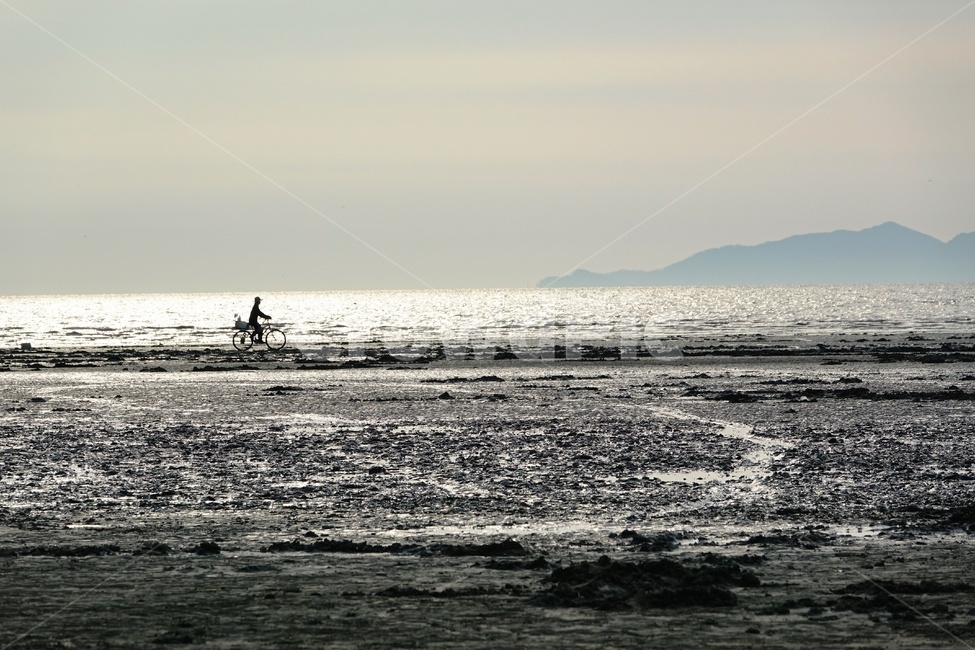 바다,갯벌,자전거,서해안,일몰,자연,풍경,nature,landscape,adventure,모험,leisure activities,레저 활동