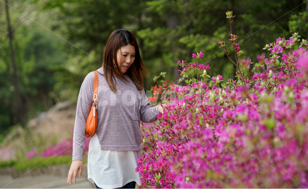 남산,산책,철쭉꽃,따뜻함,핑크,봄,계절,spring,season,식물,자연,plants,nature,꽃,flower,사람,인물,인간,human,person,여성,여자,woman,female,lady,sleeve,소매,long sleeve,긴팔