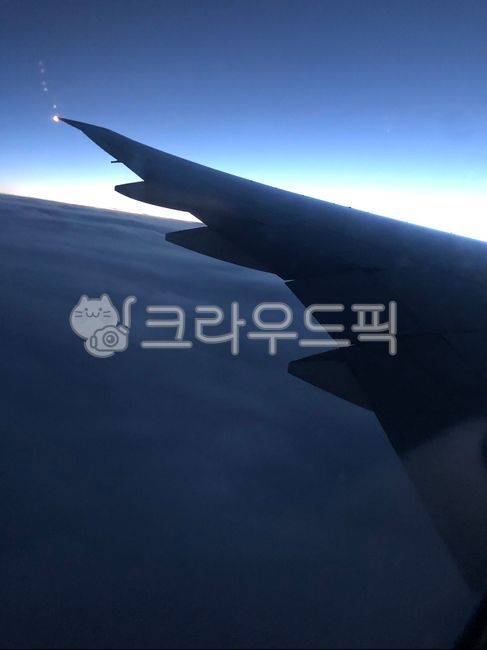 하늘,구름,날개,하늘위,구름위