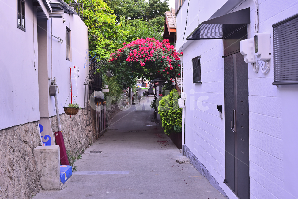 달동네,재개발,빈민촌,집,하우스,서민,anoldhouse,village,poorhillsidevillage,poor,house,건축물,오래된,빈티지,가난,삶,마을,낡은,서울