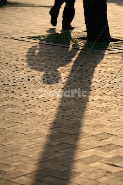 사람,나무,그림자,사람과나무,빛,사람,인물,인간,human,person,인물실루엣,사람실루엣,character silhouette,human silhouette,path,통로,walkway,보도,bridge,다리,boardwalk,산책로,building,건물