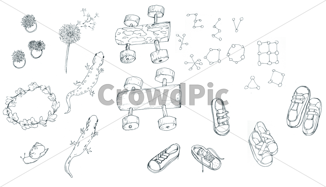 손그림,handdrawing,꽃,flower,bloom,blossom,팬그림,팬라인,pen,penline,penpicture,pendrawing,도롱뇽,salamander,도마뱀,lizard,신발,shoes,footwear,footgear