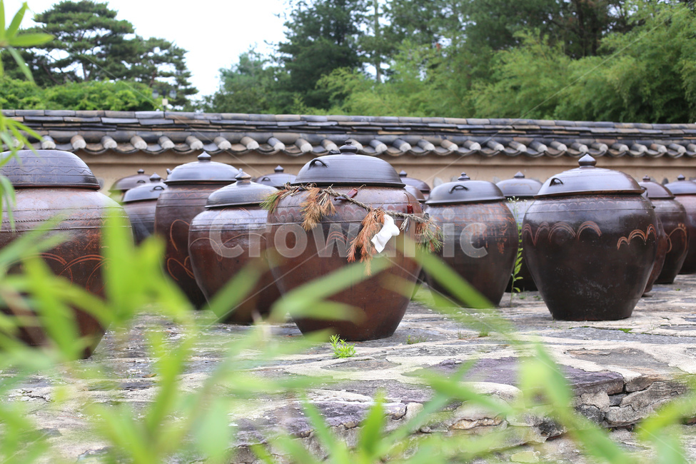 장독,독,장독대,항아리,전통,한국전통,한국문화,장,새끼줄,금줄,한국전통,한국문화,korean traditional,korean culture