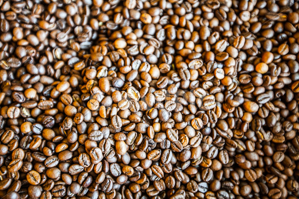 커피,원두,식품,커피콩,커피원두,커피,카페,coffee,cafe