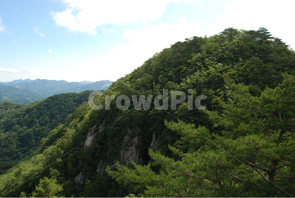 괴산군,국립공원,속리산,자연,여름,자연,풍경,nature,landscape,outdoors,옥외