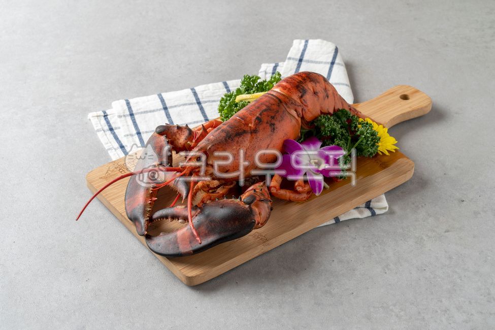 랍스터, 바다가재, 갑각류, 바다요리, 음식, 사진,이미지,일러스트,캘리그라피 - coolazrael작가