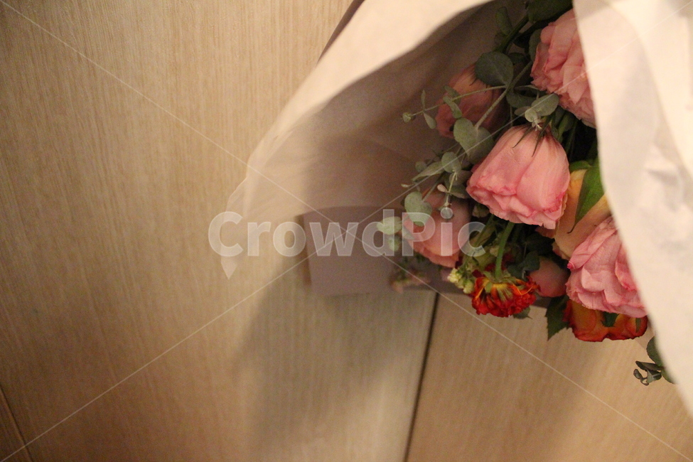 꽃,flower,꽃다발,선물,축하,pink,present,gift,celebrate,구도,분위기,색감