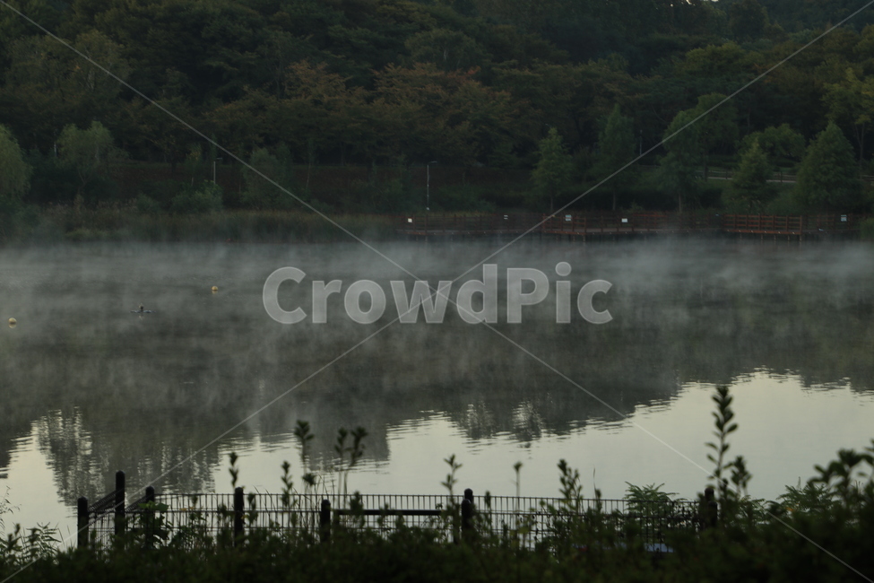nature,자연,weather,날씨,물안개,풍경,경관,운치,자연,풍경,nature,landscape