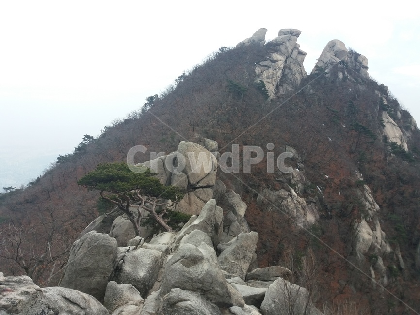 북한산,만경대,소나무,기암괴석,nature,자연,outdoors,옥외