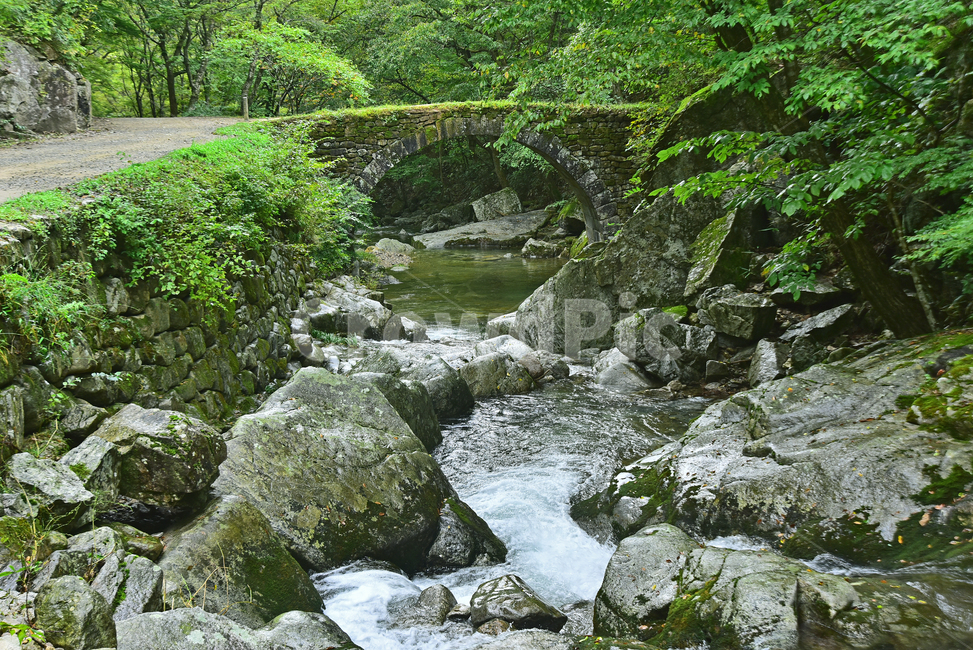 선암사,승선교,계곡,계류,그린,초록색,녹지,자연,환경,natural,water,물,nature,outdoors,옥외,나무,숲,배경,백그라운드,힐링,흙길,땅,돌다리,stream,흐름,보물제400호,홍교,석교,무지개모양,아치,반원형,역사유물,계절,시즌,바탕,season,건축물,자연,풍경,nature,landscape,creek,작은 만
