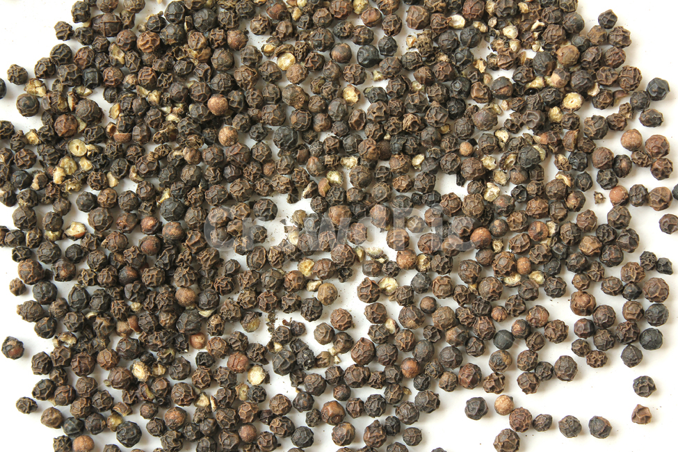 black,brown,cooking,dry,food,glass,gourmet,pepper,peppercorn,seeds,spice,spicy,white,검은색,검정,갈색,브라운,요리,음식재료,음식,후추,후추가루,향신료,매운,식재료,탑앵글,탑뷰,음식,식재료,요리,food,cook,meal,dishes,food reserves,콩류,견과류,beans,pulse,nuts,dry fruits