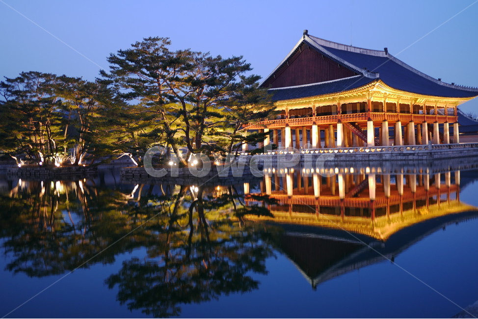경복궁,경회루,고궁,전통,야경,풍경,소나무,한국야경,서울야경,서울풍경,야경,밤,풍경,nightscape,night,landscape,한국전통,한국문화,korean traditional,korean culture,랜드마크,landmark,tourist attraction,한국랜드마크,한국관광지,한국명소,korea landmark,korea tourist attraction,건축물,건물외관,exterior,building,structure,architecture,construction,건물