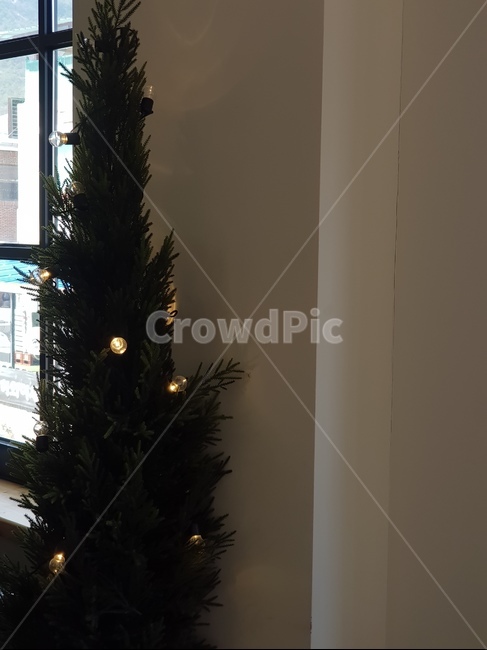 트리,분위기,감성,크리스마스,나무,전구,christmastree,ornament,tree