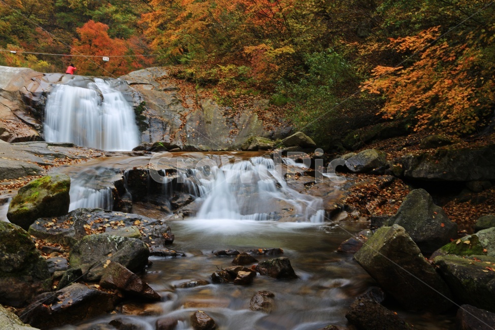 water,물,nature,outdoors,옥외,waterfall,폭포,tree,나무,plant,식물,leaf,잎,stream,흐름,물흐름,강원도,인제,방태산,방태산폭포,방태산가을,단풍,단풍잎,가을,추색,만추,낙엽,계곡,경치,경관,풍경,인제가을