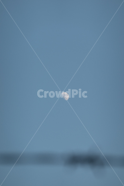 달,초승달,moon,하늘,감성사진,해질녘,fence,팬스,야경,밤,풍경,nightscape,night,landscape