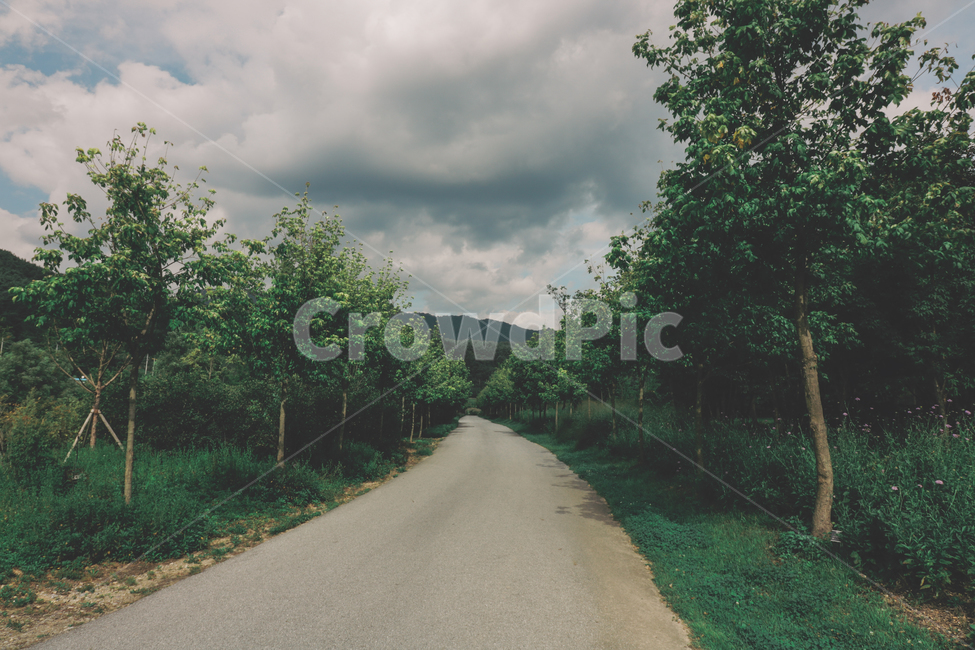 road,도로,아스팔트,asphalt,tarmac,풍경,숲,하늘,등산로,가을,구름