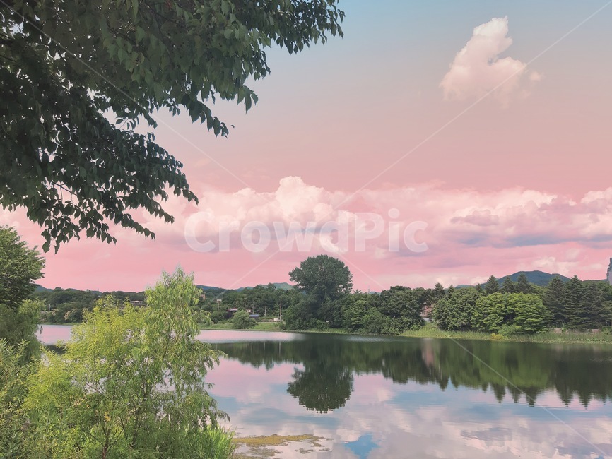 나무,나들이,nature,꽃,노을,자연,풍경,nature,landscape