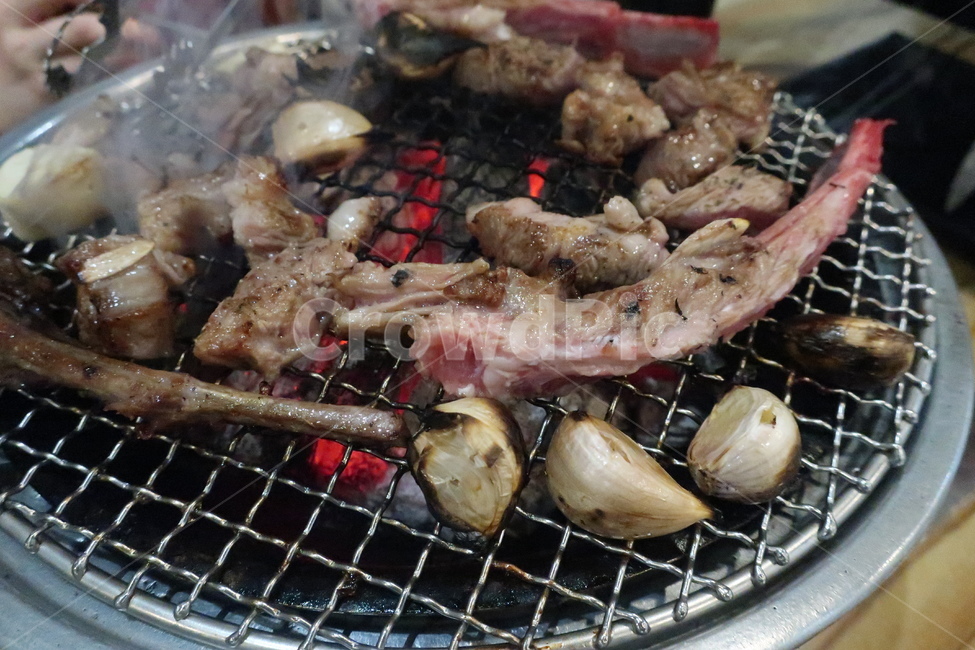 양고기,양갈비,맛집,회식,모임,파티