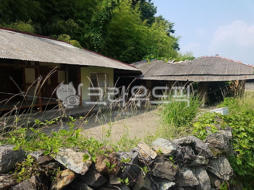 nature,자연,시골집,촌집,옛날집,돌담,마당