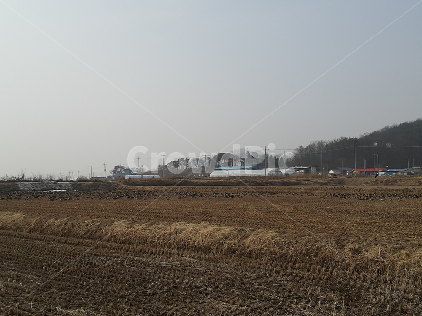 자연,풍경,철새,아름다움,생명,시골,마을,풍경,landscape,country,rural,town