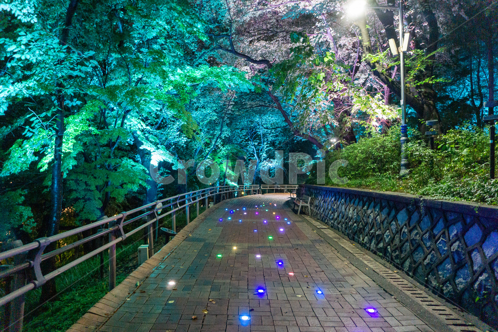 자유공원,인천,야경,산책로,숲길,나무,led,공원,자연,수풀,오솔길,산길,숲,밤,night,가로등,산책,park,길,통행로,거리,보행로,보도,path,way,walkway,railing,handrail,난간,banister