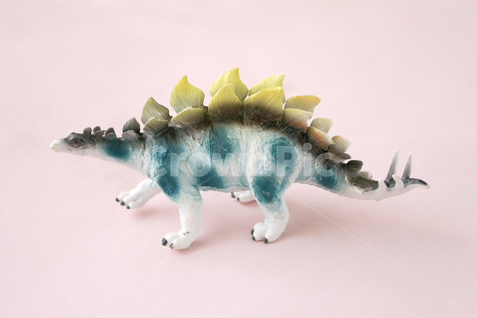 장난감,공룡,스테고,스테고사우르스,분홍색,핑크,물건,사물,toy,dinosaurs,stegosaurusdinosaurs,공룡장난감,토이,사물,물건,오브젝트,thing,object,matter