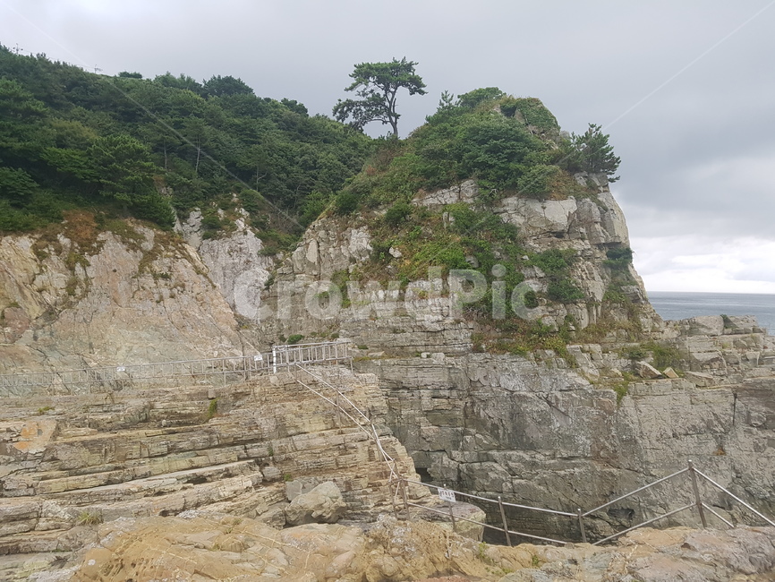 보타니아,외도,바다,보타니아섬,거제도,자연,풍경,nature,landscape,한국자연풍경,한국자연경관,korea nature landscape,outdoors,옥외,cliff,낭떠러지