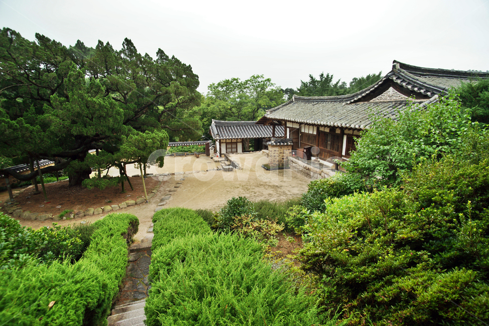 서백당,손소,양동마을,경주,유네스코세계유산,조선시대,전통가옥,양반,문화재,기와집,민속마을,집성촌,향나무,문화재제23호,한국전통,한국문화,korean traditional,korean culture,건축물,건물외관,exterior,building,structure,architecture,construction