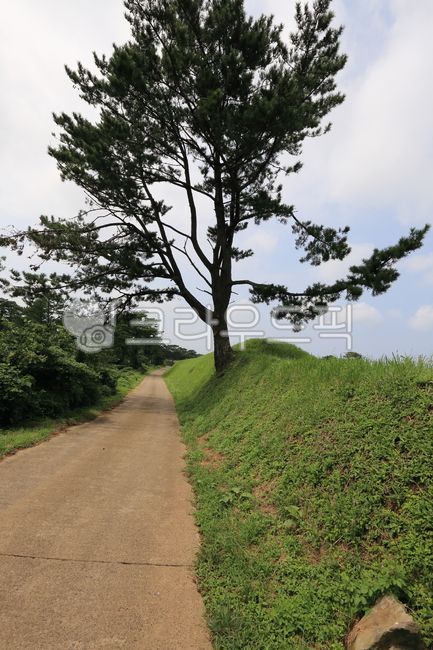 path,road,2nd lane,road name,jeju island,country road,Olle trail,uphill
