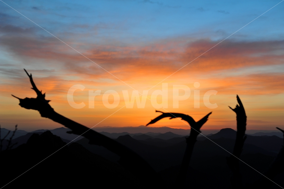 여명,일출,새벽산행,가을,용,자연,풍경,nature,landscape
