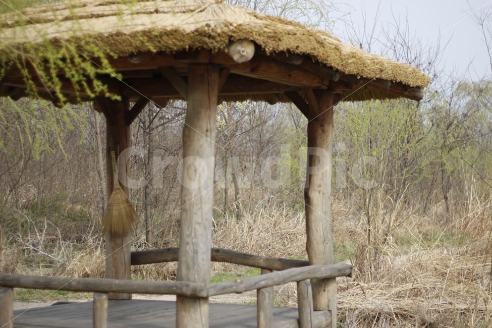 공원,정자,나무,짚,자연,식물,휴식,빗자루,한국전통,한국문화,korean traditional,korean culture