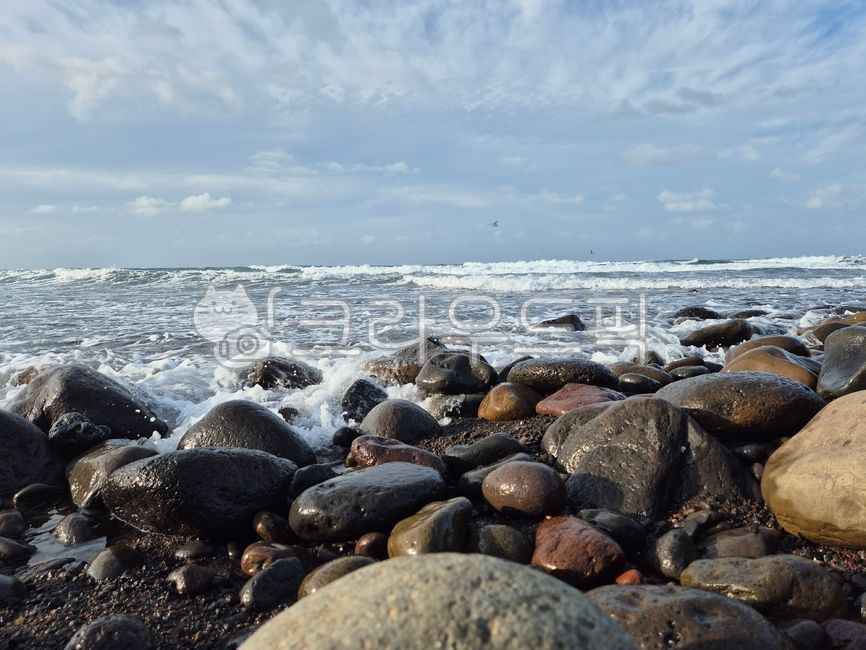 새,해변,해안가,seashore,제주도,바다,자연,구름,돌,풍경,파도,감성,ocean,하늘,이호테우해변,nature,sky,emotion