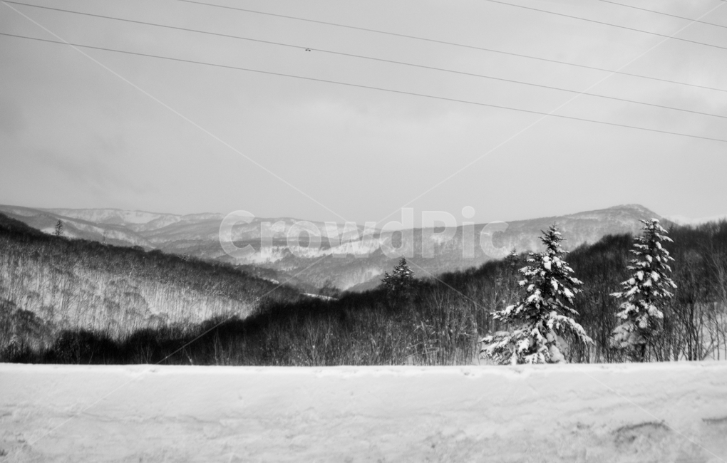 삿포로,겨울,눈,경치,설경,일본,호카이도,겨울,계절,winter,season,자연,풍경,nature,landscape,흑백,모노톤,monochrome,black and white
