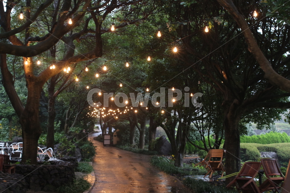 정원,가든,숲,숲속,garden,yard,forest
