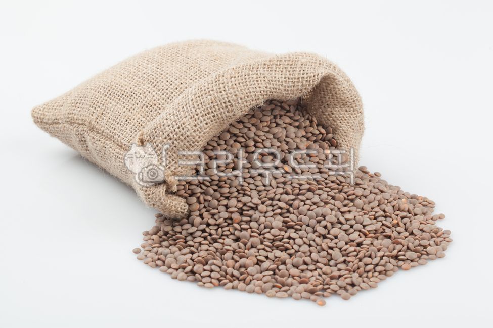 렌틸콩,콩,곡식,곡류,단백질,식이섬유,다이어트,렌즈콩,비타민,슈퍼푸드