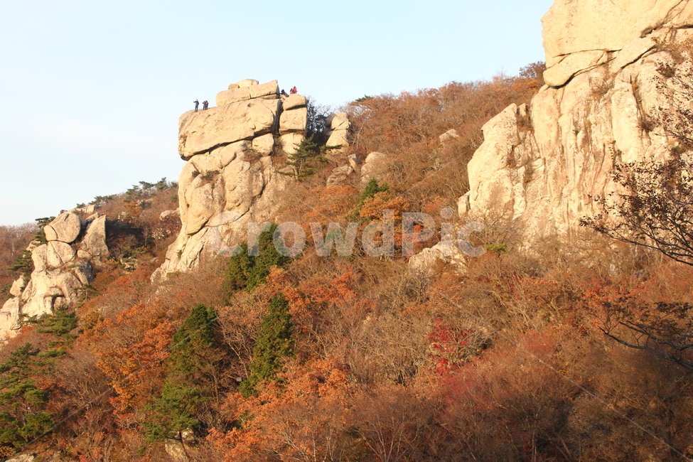 가을,일출,단풍,나무,소원,가을,계절,fall,autumn,season,자연,풍경,nature,landscape,outdoors,옥외,cliff,낭떠러지,mountain,산