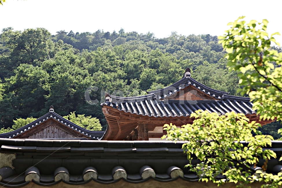 기와집,전통집,한옥,집,옛날집,한국전통,한국문화,korean traditional,korean culture,건축물,건물외관,exterior,building,structure,architecture,construction