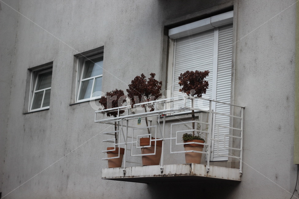 handrail,난간,homedecor,가정장식,banister,도시,건물,화분,황량,초라,분위기,감성,색감